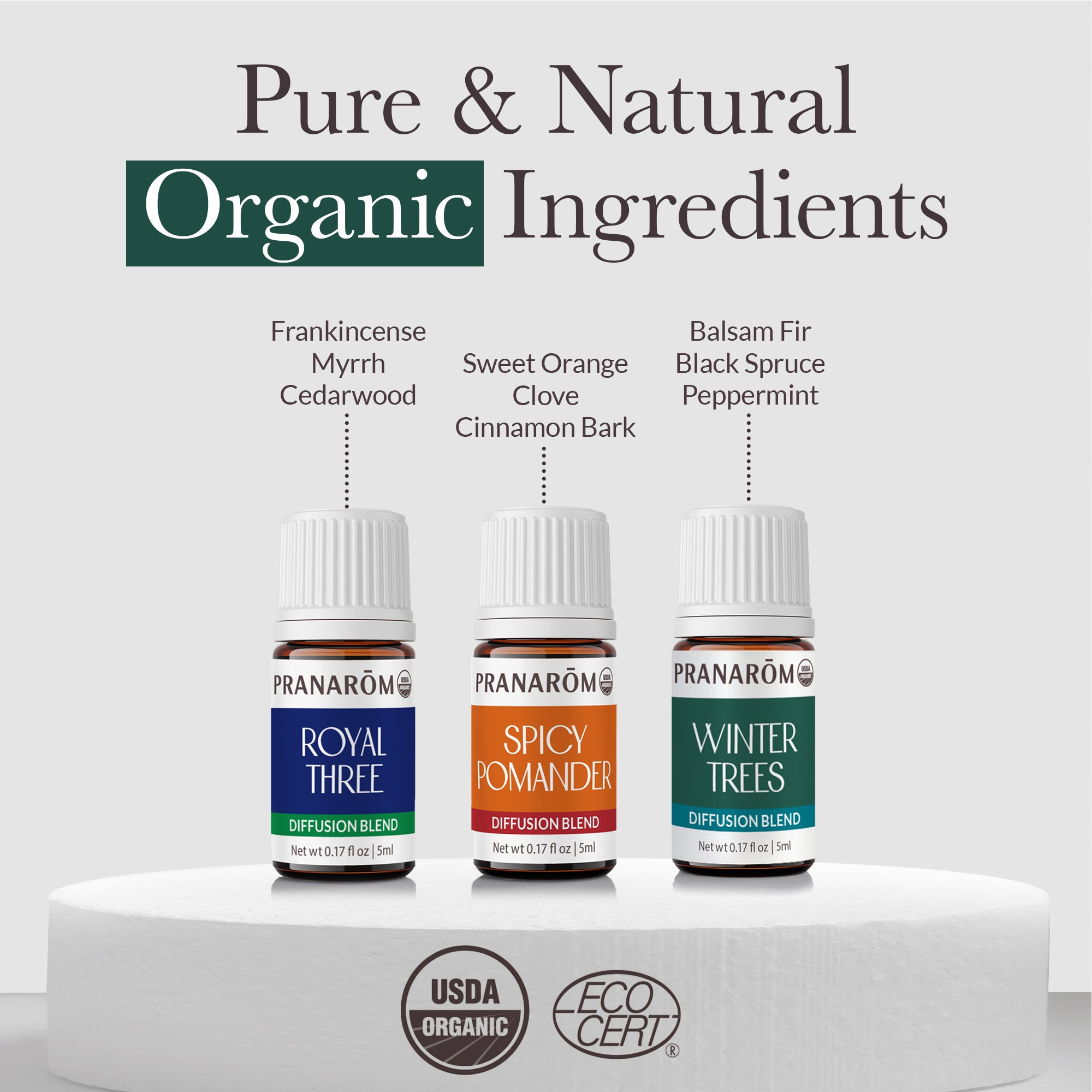 Tis the Season Diffusion Kit | Pranarôm