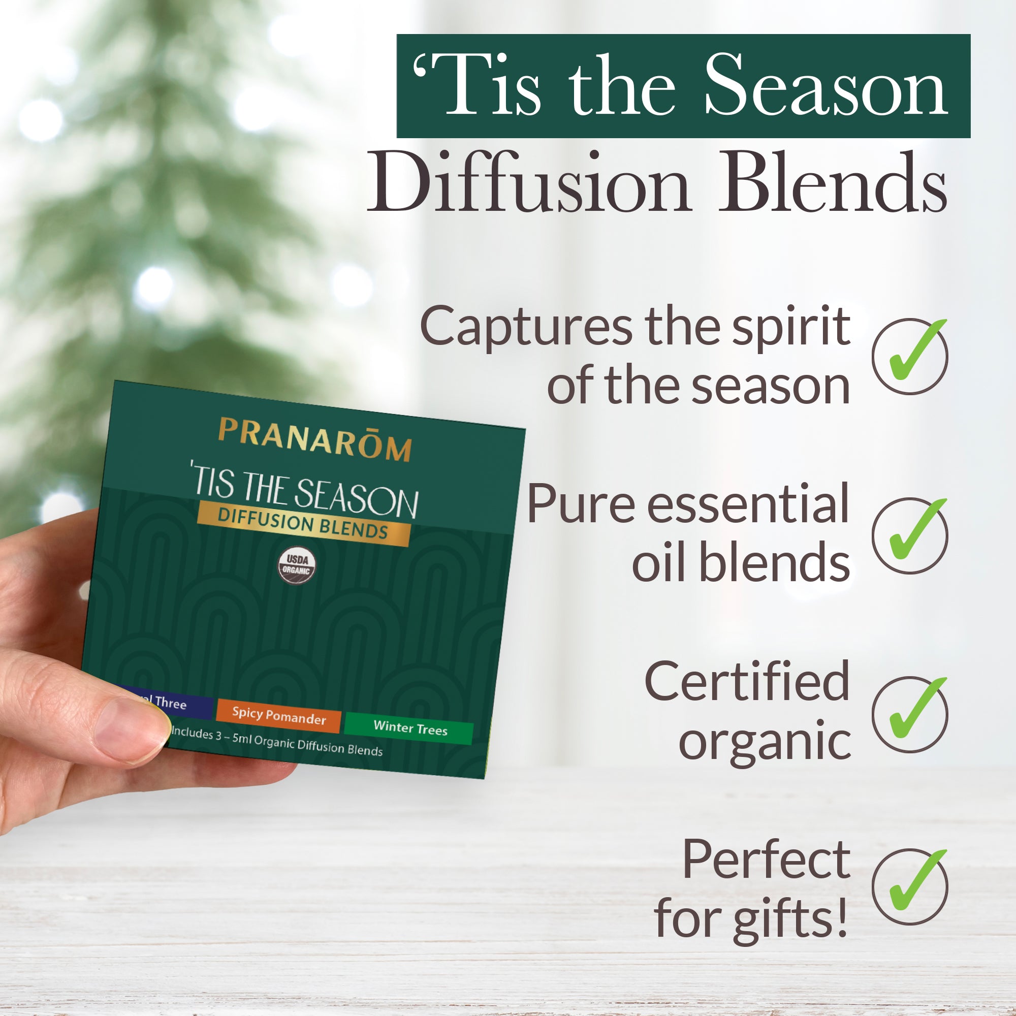 Tis the Season Diffusion Kit | Pranarôm