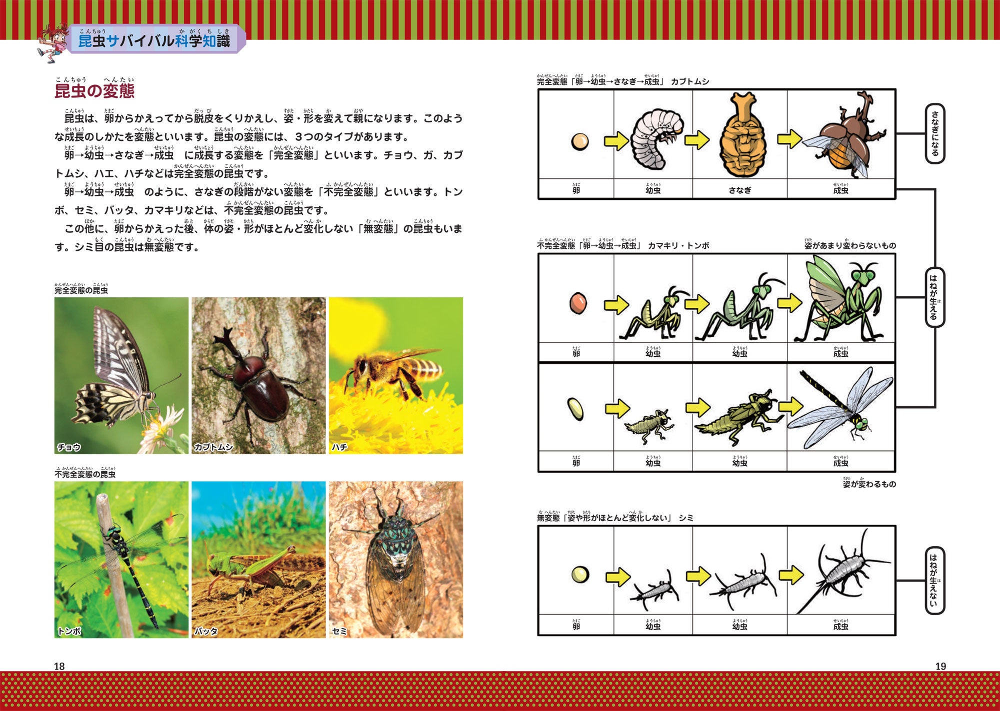 かがくるBook 昆虫世界のサバイバル等 19冊セット 昆虫世界の
