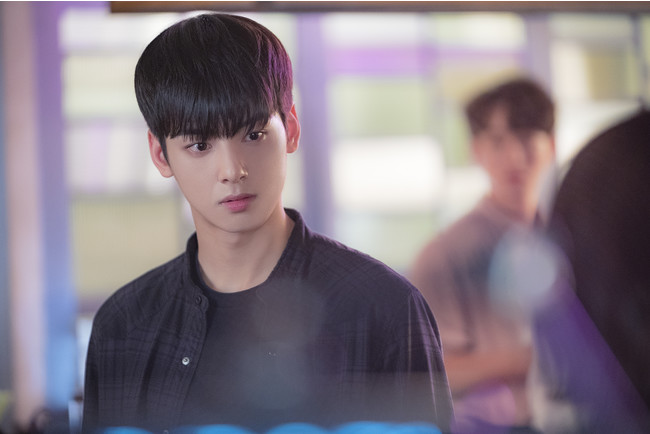 大ヒットドラマ「私のIDはカンナム美人」主演、チャウヌのオンライン