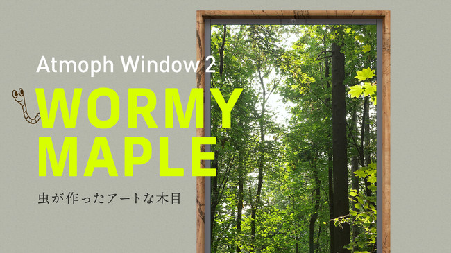 スマート窓Atmoph Window 2に、カリモク家具とコラボで虫食い木材を