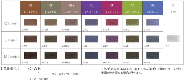 世界初「グロス染料」配合のヘアカラー『 Le POLISSAGE（ル ポリ