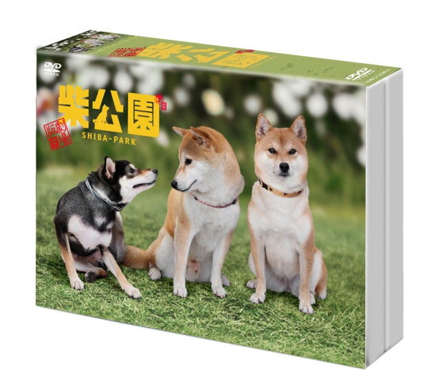 柴犬に癒されること間違いなしの『劇場版 柴公園』DVDが11月2日に発売