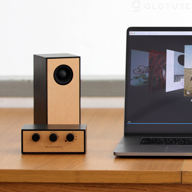 ☆新商品☆ 「CELIA & PERAH R4」DIYで組み立てるステレオ ワイヤレス