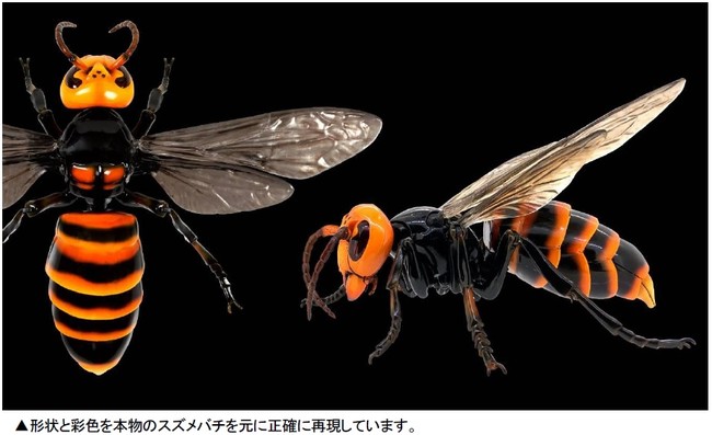 いきもの大図鑑」シリーズが進化(アドバンス)！ハイグレードモデル