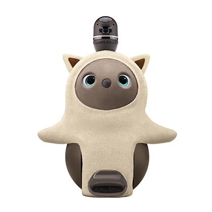 昨年大人気だった「ねこみみニット」に新色2種が追加、2月22日（猫の日