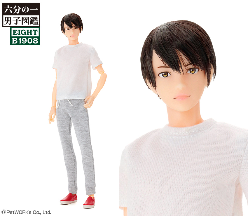 2019年10月29日入庫「六分の一男子図鑑 エイト B1908」