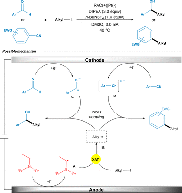 Synthetic applications of electro/photochemical halogen atom