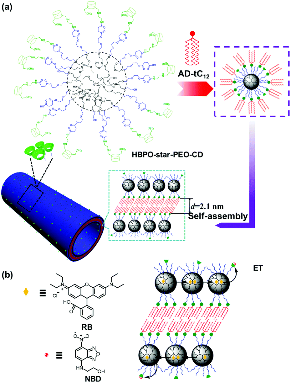 Artificial light-harvesting systems based on macrocycle-assisted
