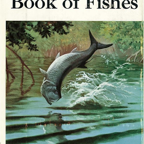 サカナクション / 魚図鑑 初回生産限定盤A 2CD + Blu-ray