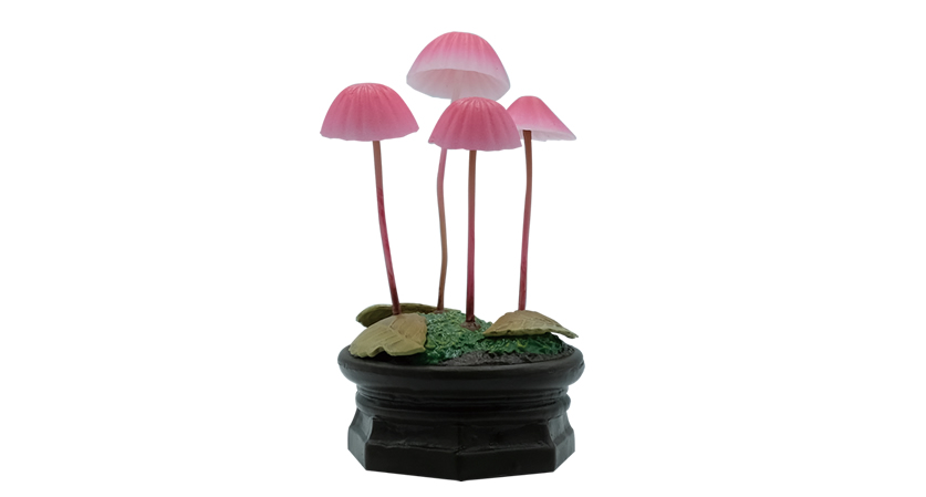 きのこ立体図鑑 | Qualia