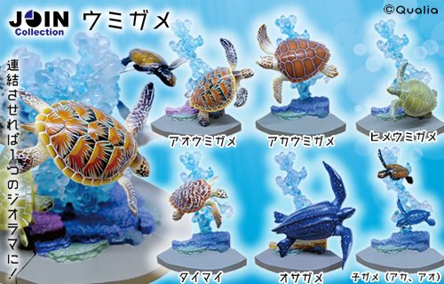 ウミガメ JOIN Collection | Qualia