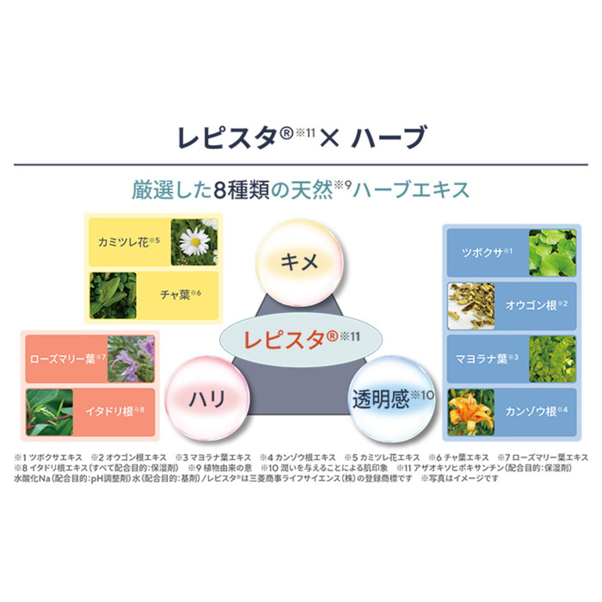 J.AVEC TOI バイタライジングローション ROMAIN100ml ジェイアベック