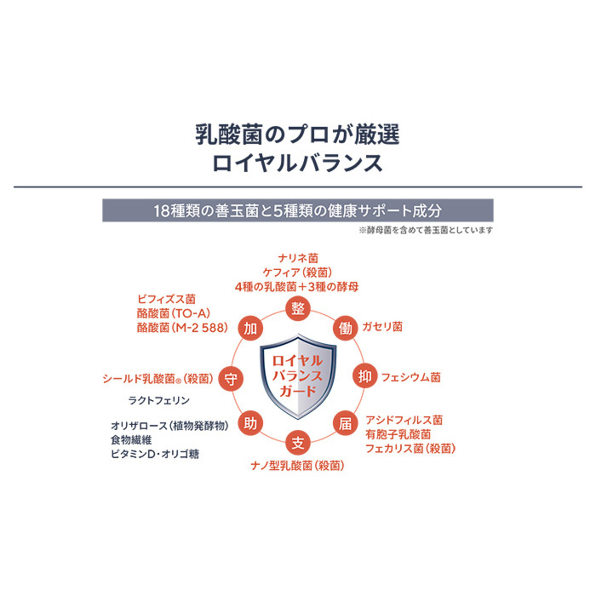 乳酸菌＋酵母 ProMIXプレミアムノアRich 120包 - QVC.jp