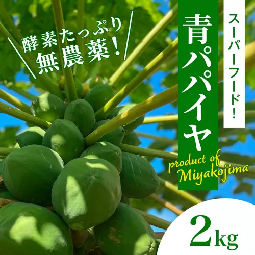 沖縄県産 青パパイヤ 2kg（2～5玉程度）について｜沖縄の各地から