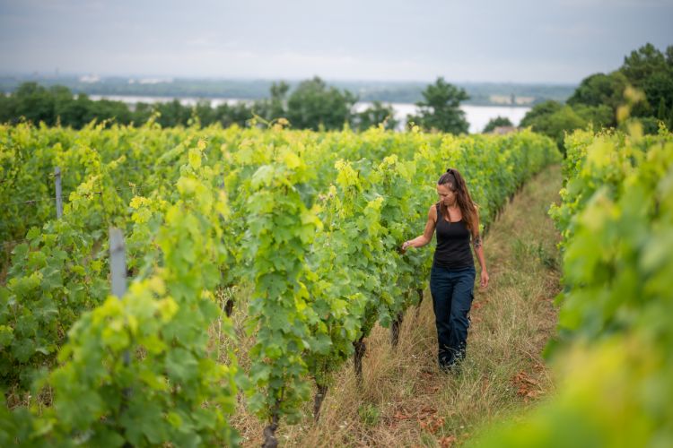 ワインの聖地が本気で目指すサステナブルな未来――フランス・ボルドー
