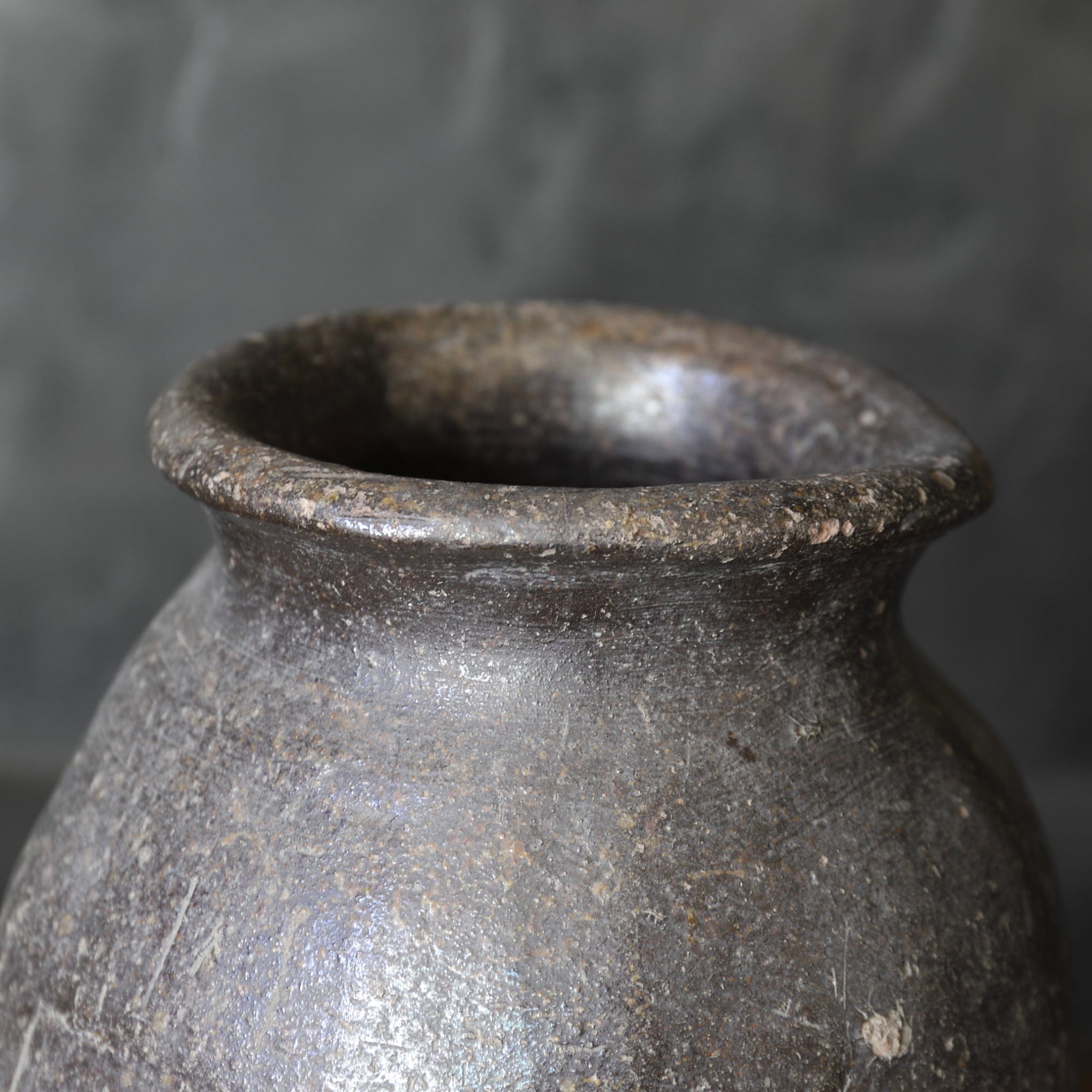 室町時代 古常滑 猫掻壺（1336–1573 CE） | 入蘆花（ロカニイル）