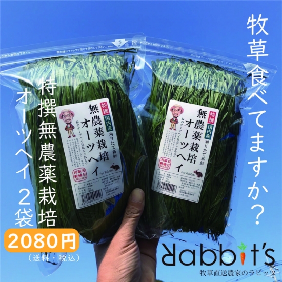特選無農薬オーツヘイ70g×2袋│牧草直送農家のラビッツ
