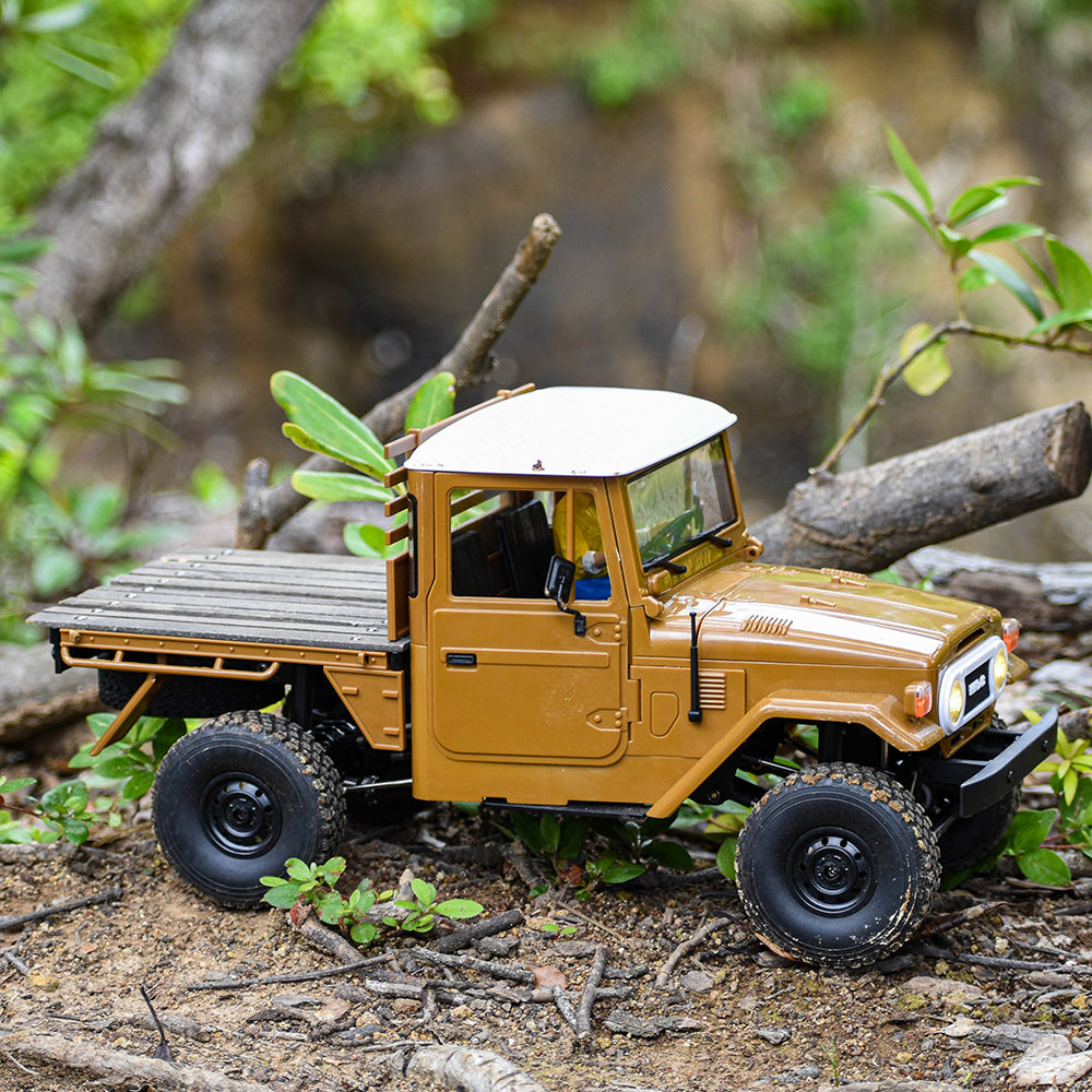 WPL JAPAN C44RTR – RAYWOOD