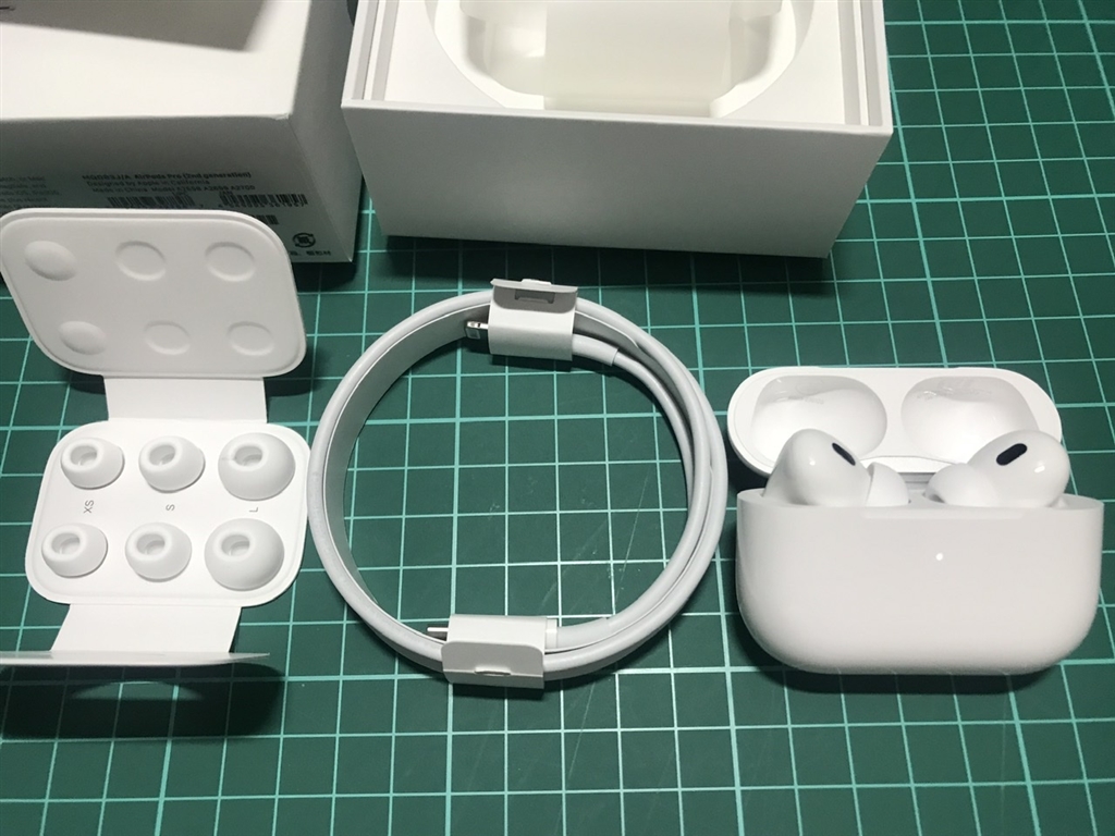 AirPods本体 充電ケーブル イヤーチップ付き Apple AirPods 付属 純正