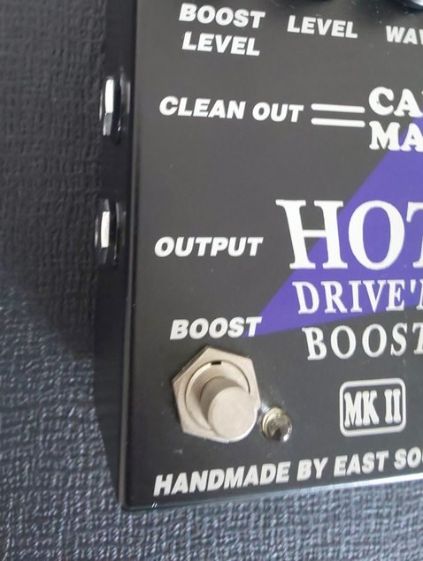 アナログなアンプシミュレーターと圧倒的なブースター』 CARL MARTIN