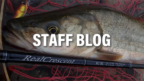 RealCrescent RC-81 | リップルフィッシャーリップルフィッシャー