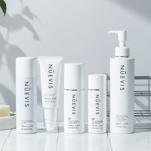 定期便]シャイニースキンDXセット 約42%OFF – リッツビューティーショップ