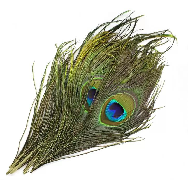 ピーコックアイ マテリアル 5本入り | river peak