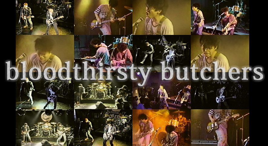 ブラッドサースティブッチャーズCDボックスセット 12枚組 ブラッド