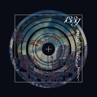 心置きなく高く飛ぶために過去も引き連れて踊れ-『Polyester (Custom