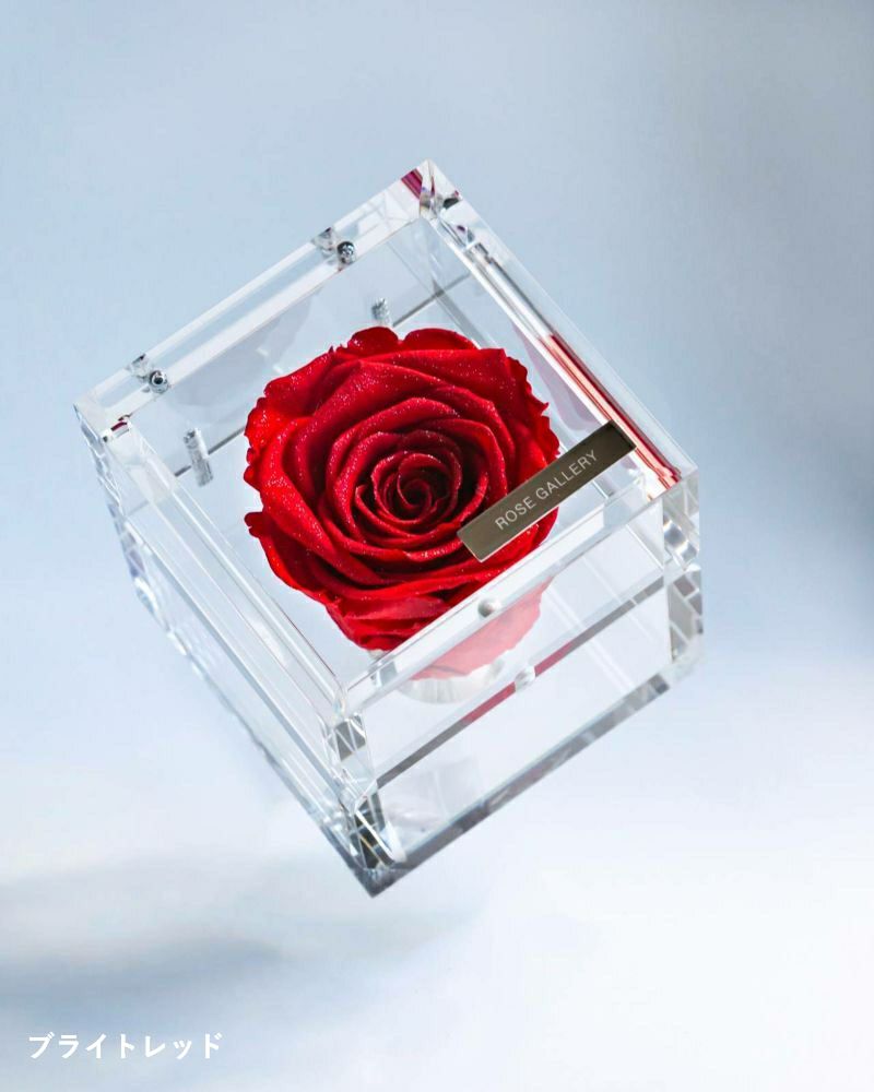 商品一覧 | ローズギャラリー銀座 オンラインショップ