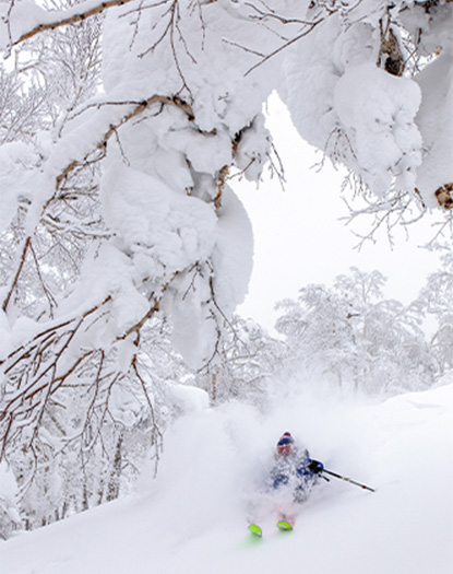 ウィンターシーズンパス - 北海道 ルスツリゾート