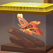 世界最大級の蛾は日本にいる！『あつまれ どうぶつの森』に登場する