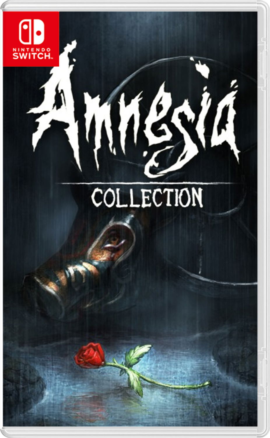 AMNESIA Switch ソフト 2本セット AMNESIA Switch ソフト 2本セット