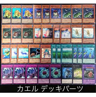 遊戯王 カエル デッキパーツ 融合 エクシーズ ガエル 1枚の通販 カイト