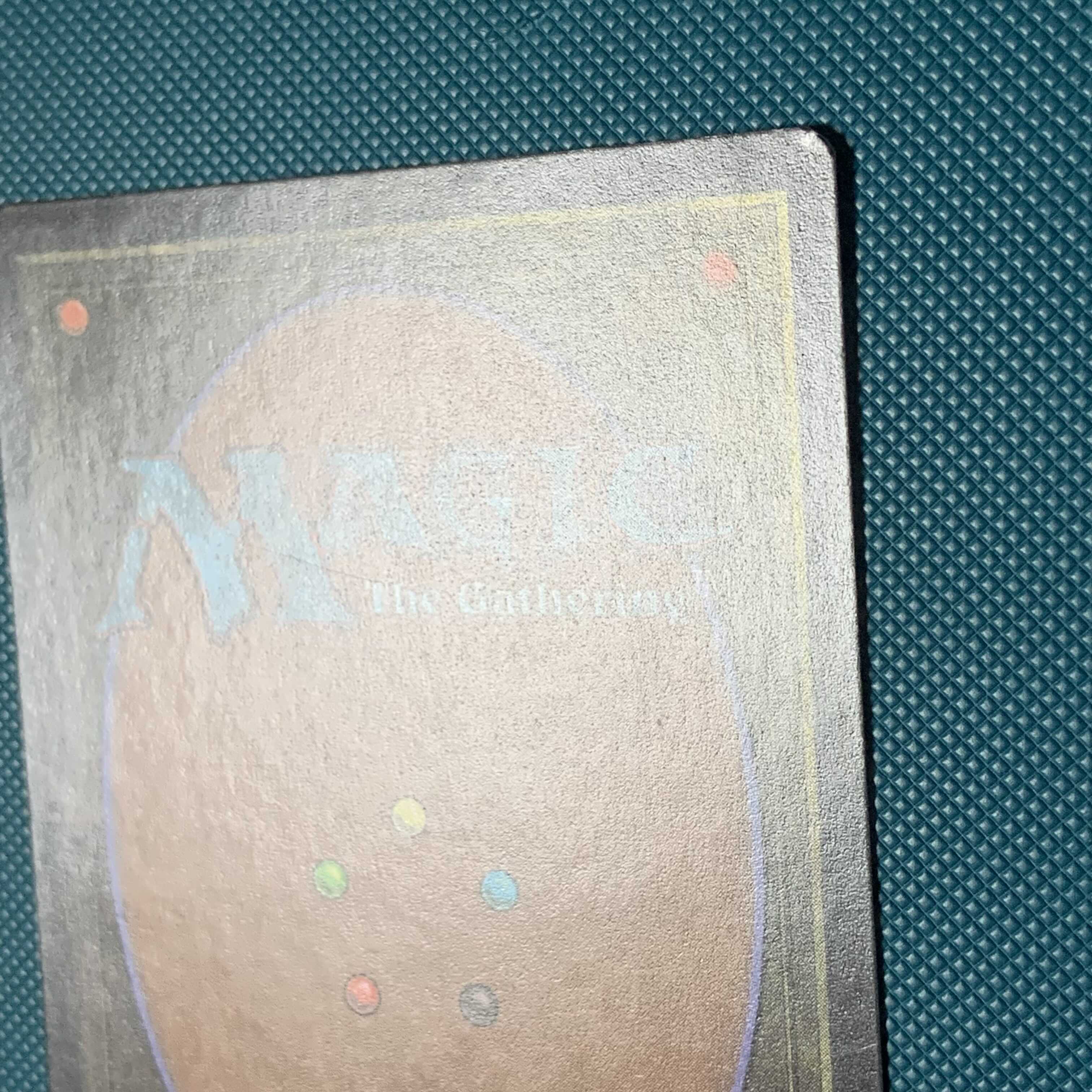 MTG GURUランド/グルランド/島/island 1枚の通販 通知は切っています