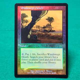 英語版 吹きさらしの荒野/Windswept HeathMTG 吹きさらしの荒野 Foil