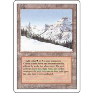 MTG(デュアルランド)のカード販売・通販 | magi