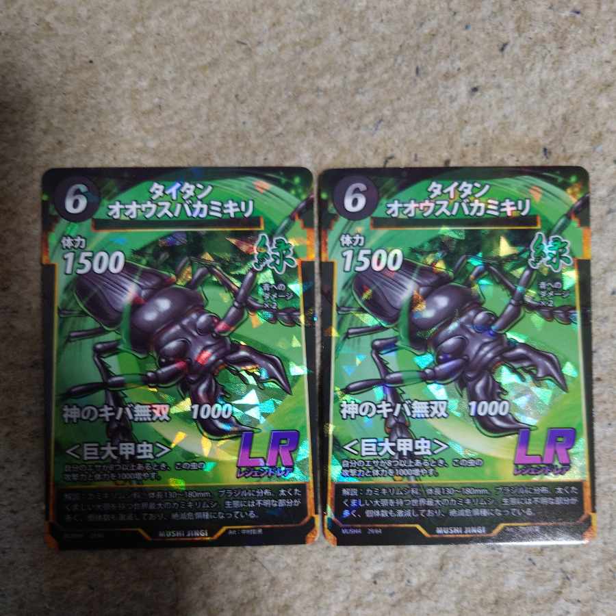 タイタンオオウスバカミキリ 1枚の通販 Taka（921885672） | magi