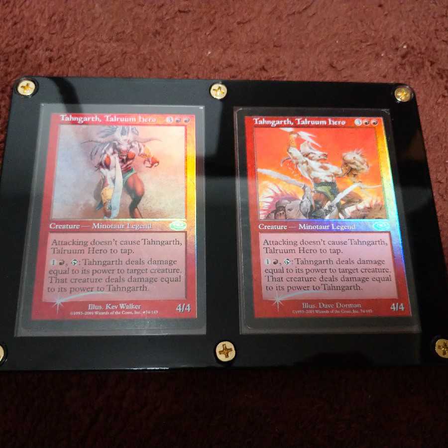 MTG タールルームの勇士、ターンガース 絵違い foil 日)タールルームの