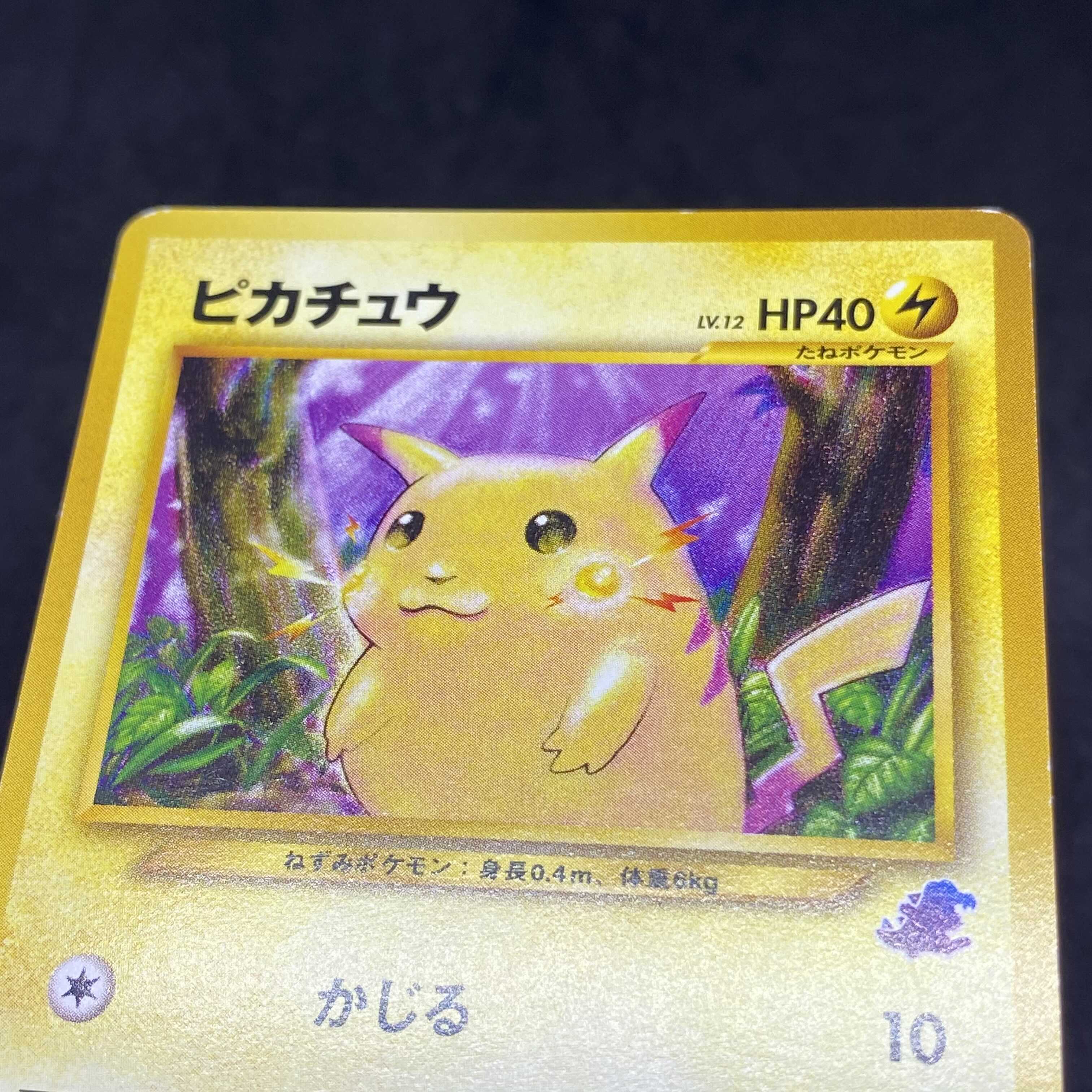 旧裏 ポケモンカード 突風 PSA10 イントロパック 2026年最新】ポケモン