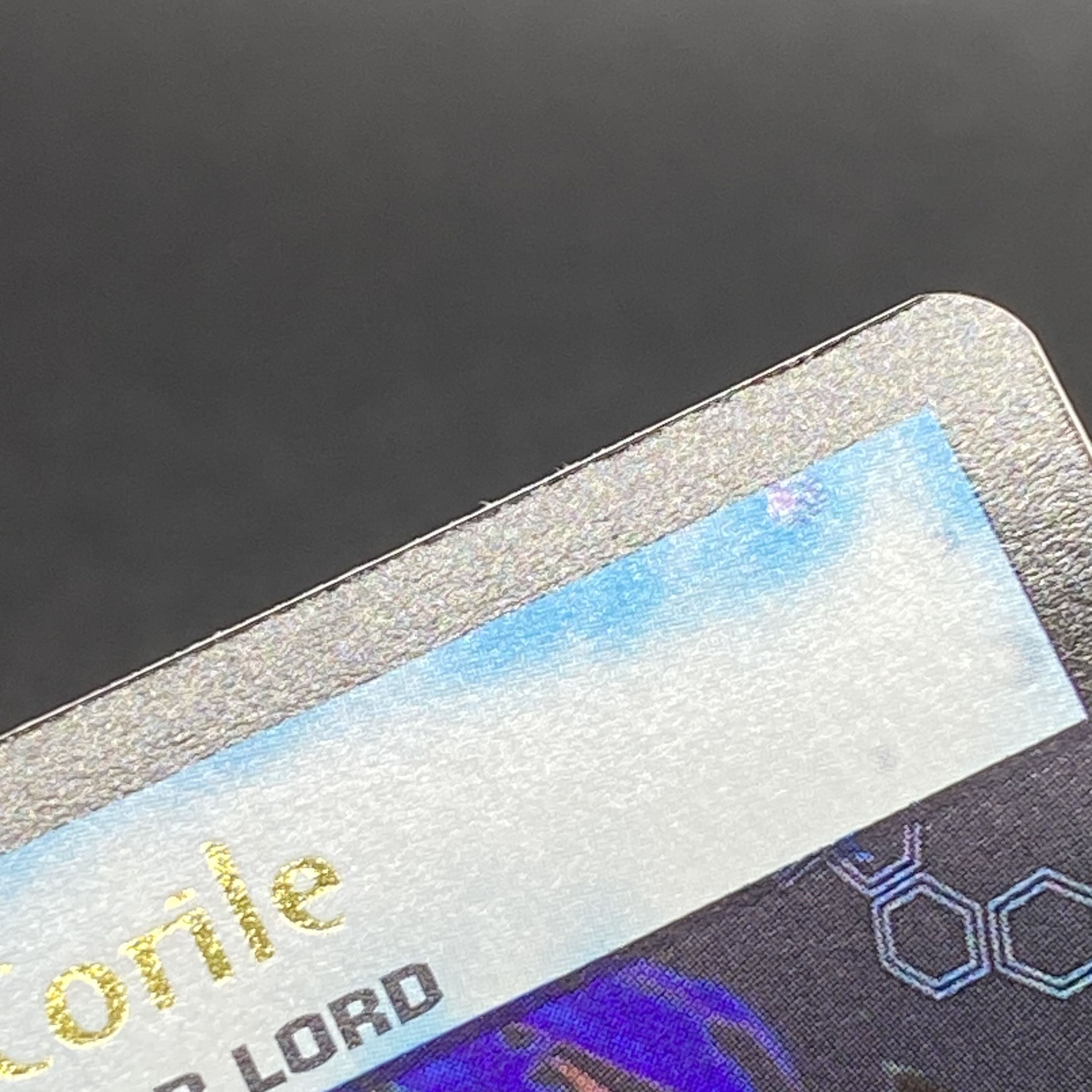 コーライル 海外限定プロモ T4/Y1 1枚の通販 土日祝休 magi公式(委託