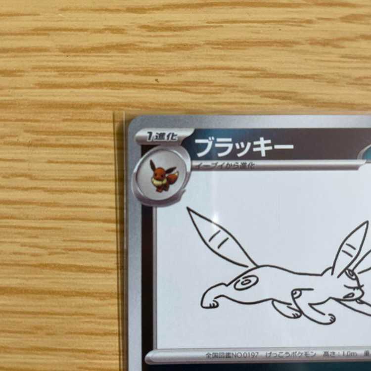 ポケモンカード YU NAGABA 長場雄 ブラッキー 1枚の通販 segreah