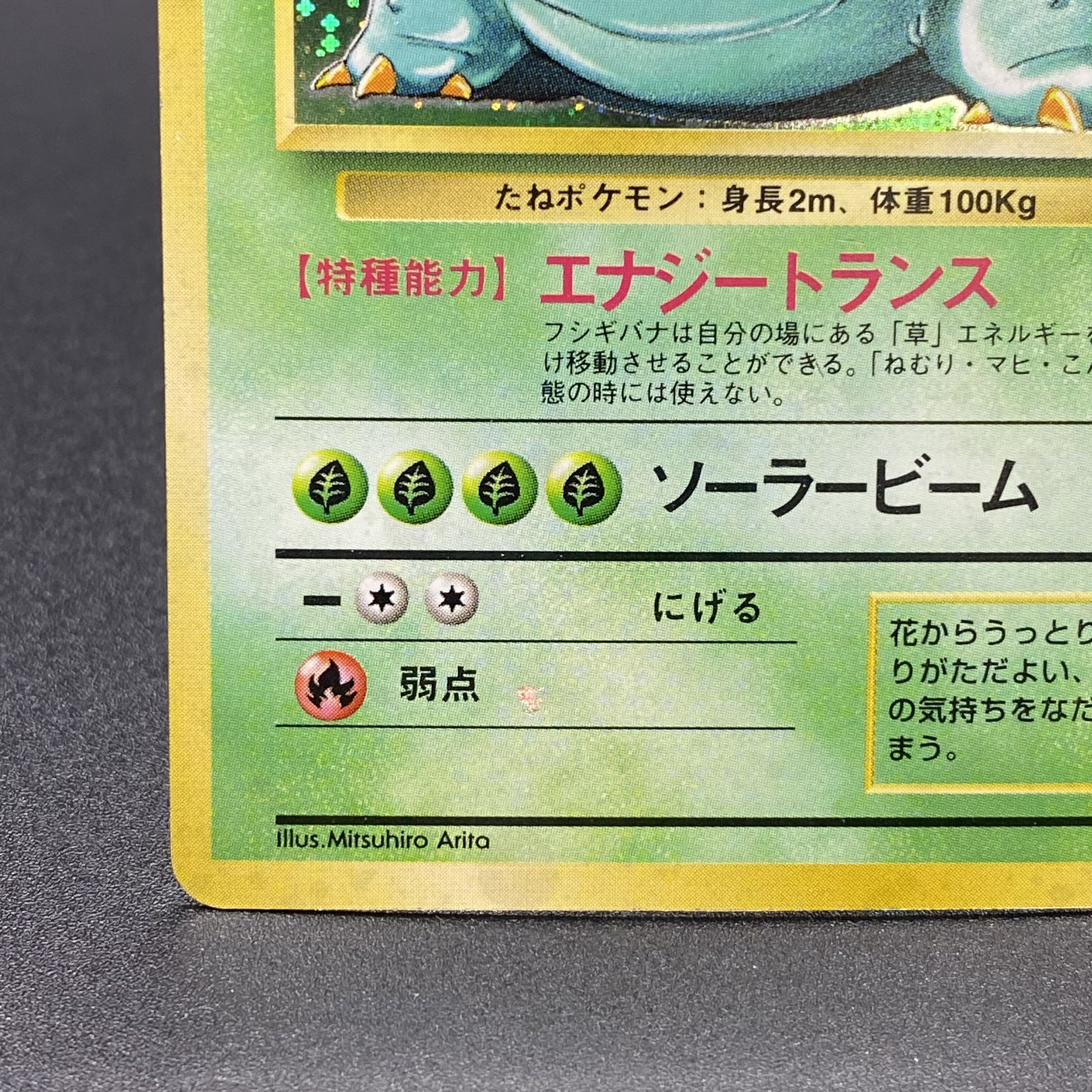 フシギバナ 旧裏 初版 マーク無し 1枚の通販 土日祝休 magi公式(委託