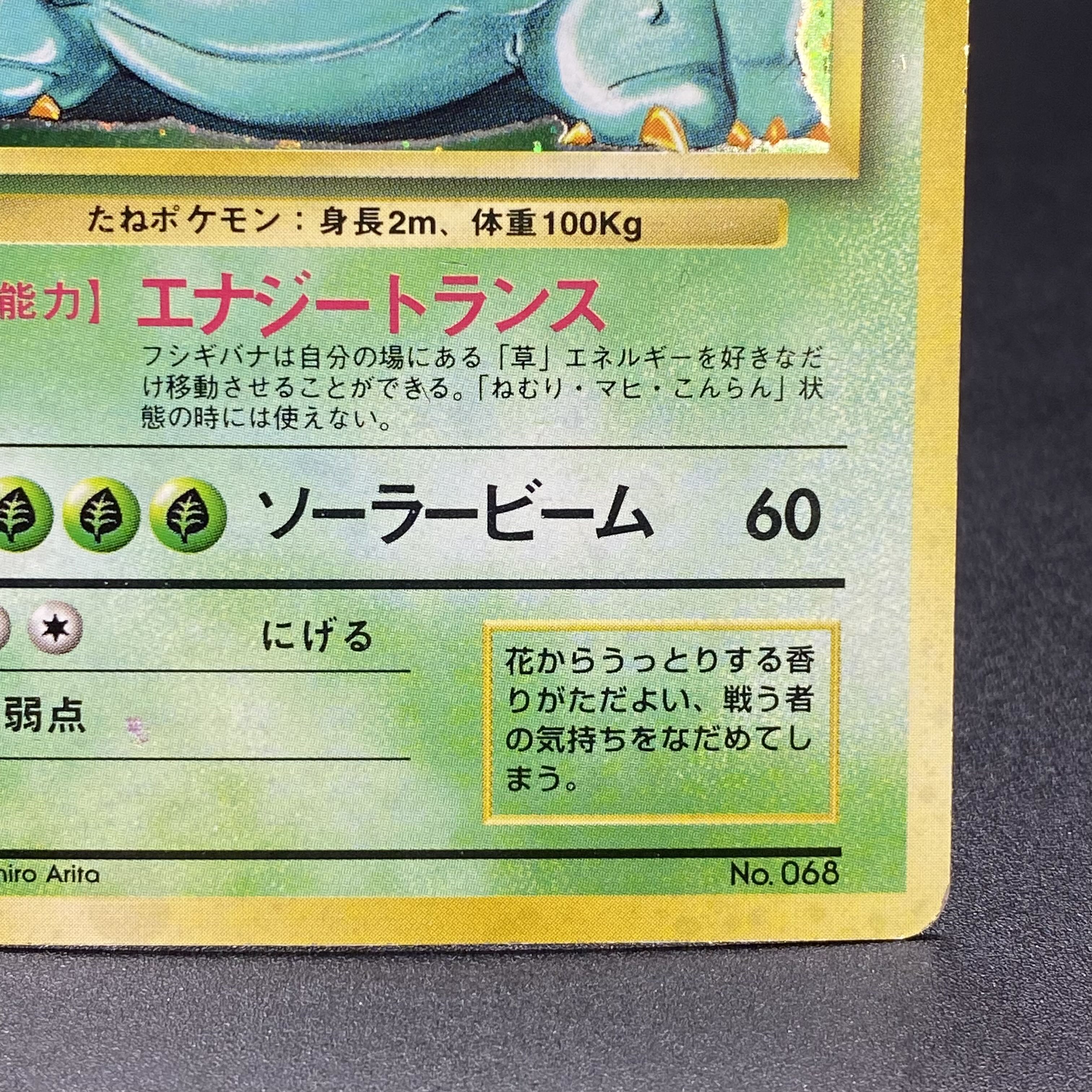 フシギバナ 旧裏 初版 マーク無し 1枚の通販 土日祝休 magi公式(委託