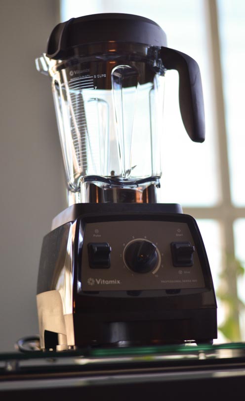 Vitamix Professional Series 300 Review | NOYOKE Reviews