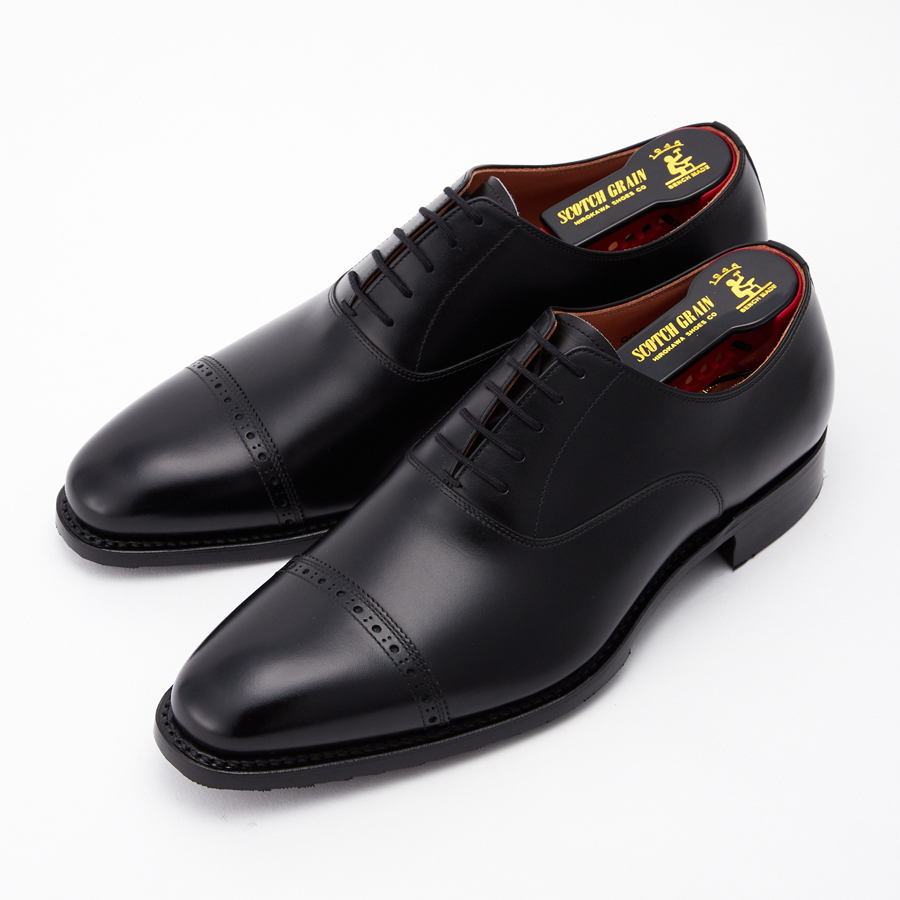 Newオデッサ［WEB先行発売］ │ スコッチグレイン SCOTCH GRAIN