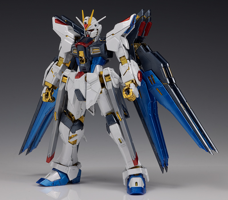 RG ストライクフリーダムガンダム[チタニウムフィニッシュ] レビュー