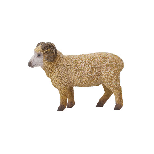161429 Safari【ヒツジ（オス）】(廃番)｜動物・恐竜フィギュアのZOOO!