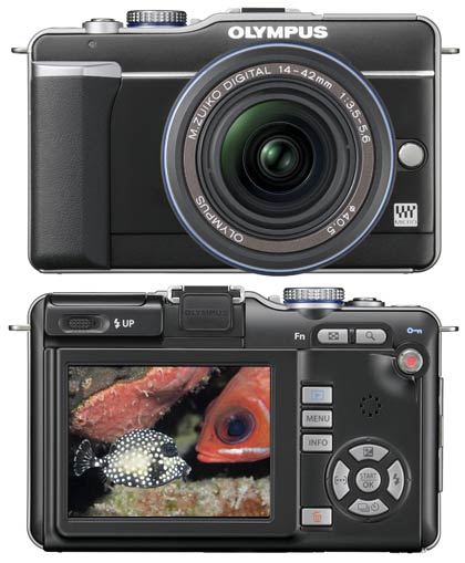 Scuba Diver Info - Camera review: Olympus E-PL1 with PT-EP01